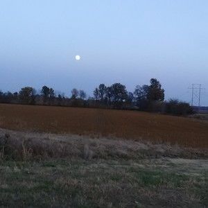 Meet your Posher, Becky